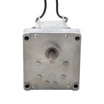 110V Brushed AC Gear Motor 50Kg.cm 7.8RPM with 392:1 with Rectangular Spur Gearbox Shaded-Pole Motor