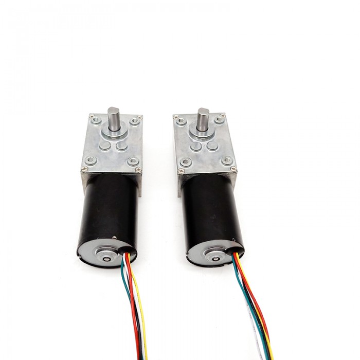 2Pcs 12V 24V High Torque DC Worm Gear Motor Permanent Magnet 10kg.cm 37*37mm