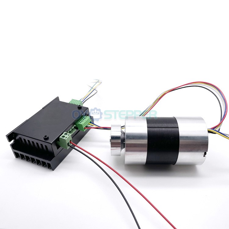 Buy TEC56100 10Pcs 12V 24V Brushless DC Motors High Torque