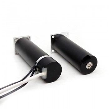 2Pcs 12V 24V DC Coreless Brushless Motor PMDC Brushless Motor 800g.cm 22*66 mm