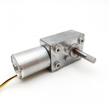 2Pcs 12V 24V Brushless DC Worm Gear Motor 8kg.cm 4500RPM 32*76.8mm