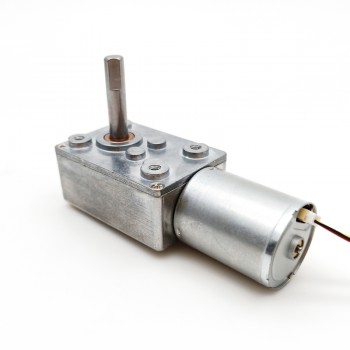 2Pcs 12V 24V Brushless DC Worm Gear Motor 8kg.cm 4500RPM 32*76.8mm