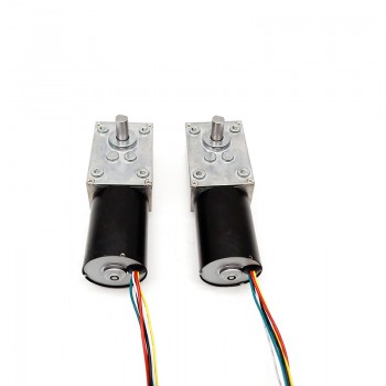2Pcs 12V 24V High Torque DC Worm Gear Motor Permanent Magnet 10kg.cm 37*37mm