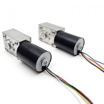 2Pcs 12V 24V High Torque DC Worm Gear Motor Permanent Magnet 10kg.cm 37*37mm