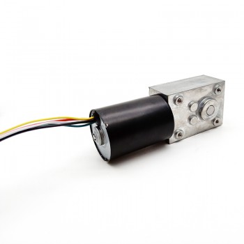 2Pcs 12V 24V High Torque DC Worm Gear Motor Permanent Magnet 10kg.cm 37*37mm