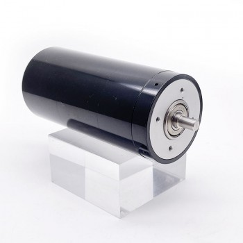 24V 36V Coreless Brushed Motor High Torque Dual Shaft DC Motor 4000g.cm 50mm*108mm