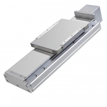 FCH140 Linear Module Linear Guide Actuator Double Rail with 1000W Servo Motor