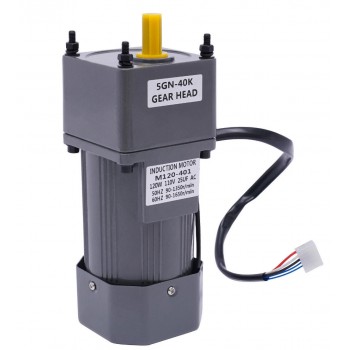 120W AC Induction Gear Motor 40:1 21Nm Single-phase with with Variable Speed Control