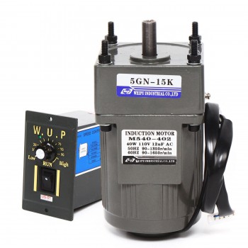 WUP 40W AC Induction Motor 15:1 3.8Nm Gear Reduction Motor Adjustable Speed with Controller