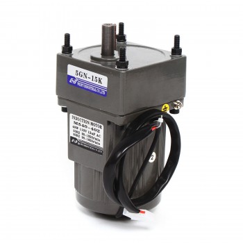 WUP 40W AC Induction Motor 15:1 3.8Nm Gear Reduction Motor Adjustable Speed with Controller