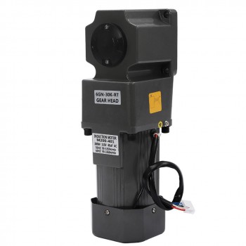WUP 200W 30:1 36Nm AC Induction Motor Gear Reduction Reversible Motor with Speed Controller