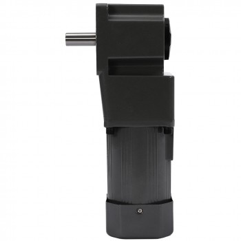WUP 200W 30:1 36Nm AC Induction Motor Gear Reduction Reversible Motor with Speed Controller