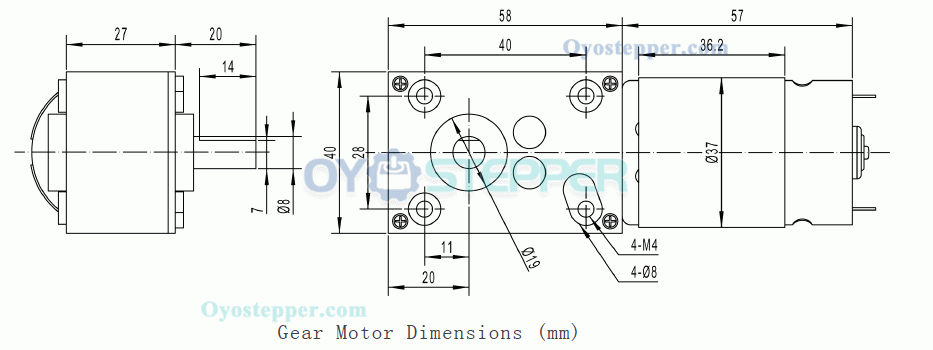 12V 24V High Torque DC Worm Gear Motor Permanent Magnet 10kg.cm 40*58mm