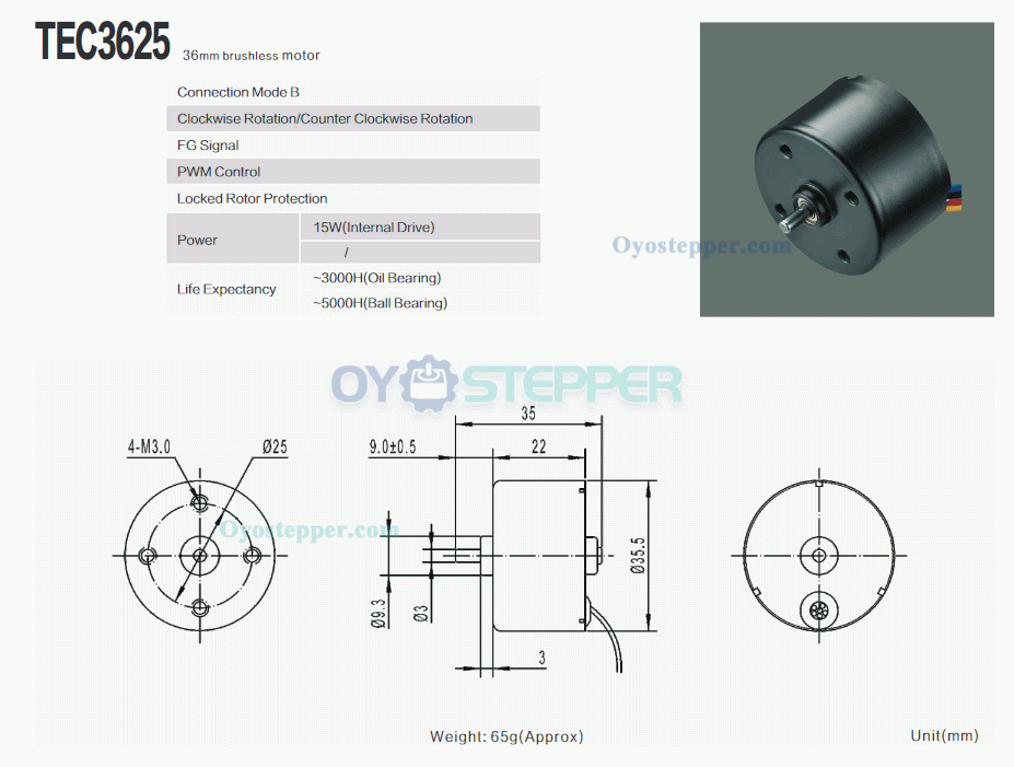 12V 24V Brushless DC Motor High Torque 36mm*25mm 550g.cm 6000RPM