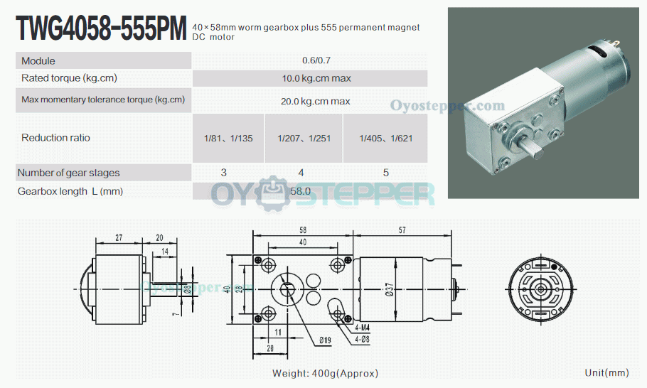 12V 24V High Torque DC Worm Gear Motor Permanent Magnet 10kg.cm 40*58mm